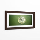 Lotto Flowers - Rev | Cuadro decorativo de Canvas Lab