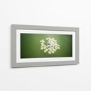 Lotto Flowers - Rev | Cuadro decorativo de Canvas Lab