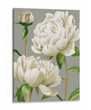 Peonías Blancas I - Grace Popp | Cuadro decorativo de Canvas Lab