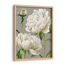 Peonías Blancas I - Grace Popp | Cuadro decorativo de Canvas Lab