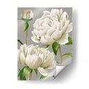 Peonías Blancas I - Grace Popp | Cuadro decorativo de Canvas Lab