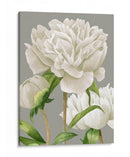 Peonies Blancas Ii - Grace Popp | Cuadro decorativo de Canvas Lab