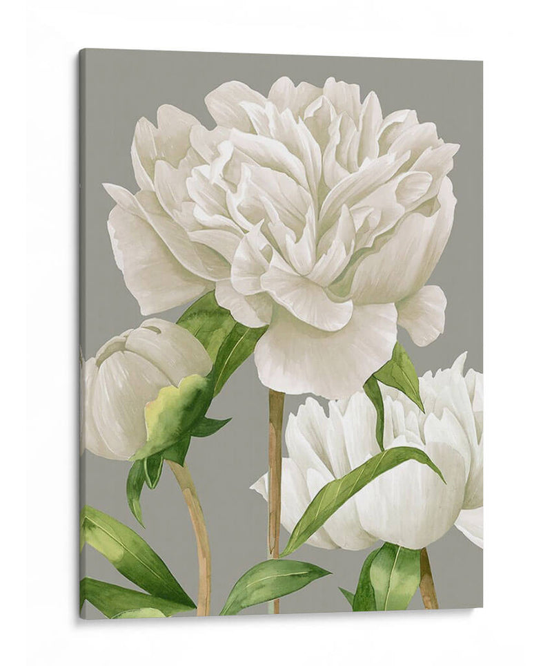 Peonies Blancas Ii - Grace Popp | Cuadro decorativo de Canvas Lab