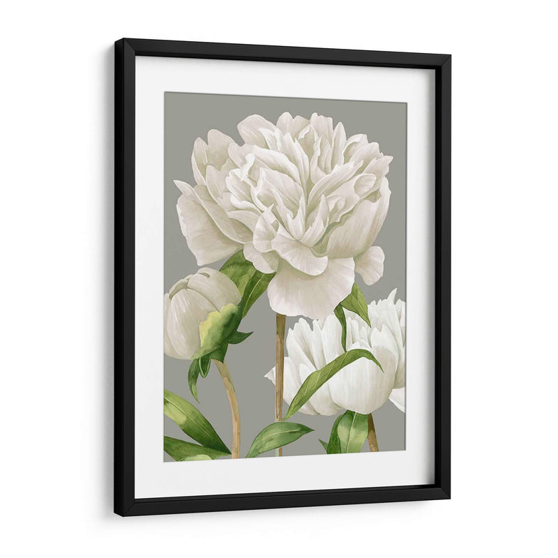 Peonies Blancas Ii - Grace Popp | Cuadro decorativo de Canvas Lab