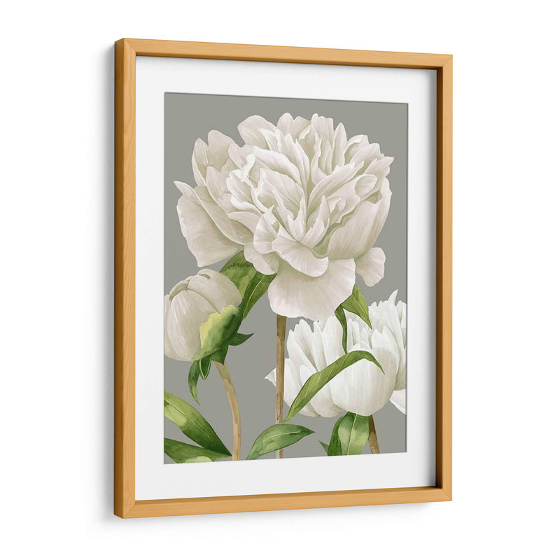 Peonies Blancas Ii - Grace Popp | Cuadro decorativo de Canvas Lab