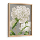 Peonies Blancas Ii - Grace Popp | Cuadro decorativo de Canvas Lab