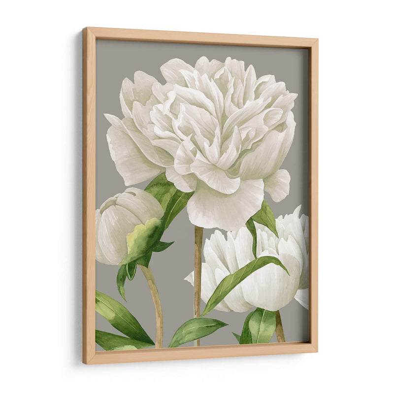 Peonies Blancas Ii - Grace Popp | Cuadro decorativo de Canvas Lab
