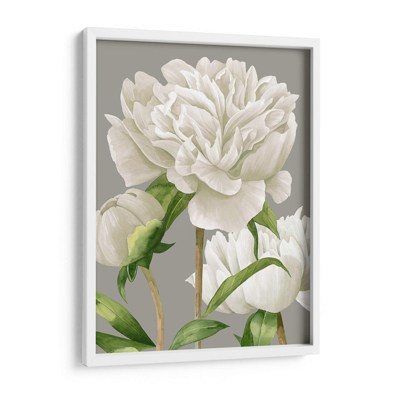 Peonies Blancas Ii - Grace Popp | Cuadro decorativo de Canvas Lab