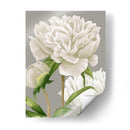 Peonies Blancas Ii - Grace Popp | Cuadro decorativo de Canvas Lab