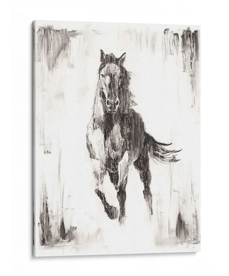 Stallion Negro Rustico Ii - Ethan Harper | Cuadro decorativo de Canvas Lab