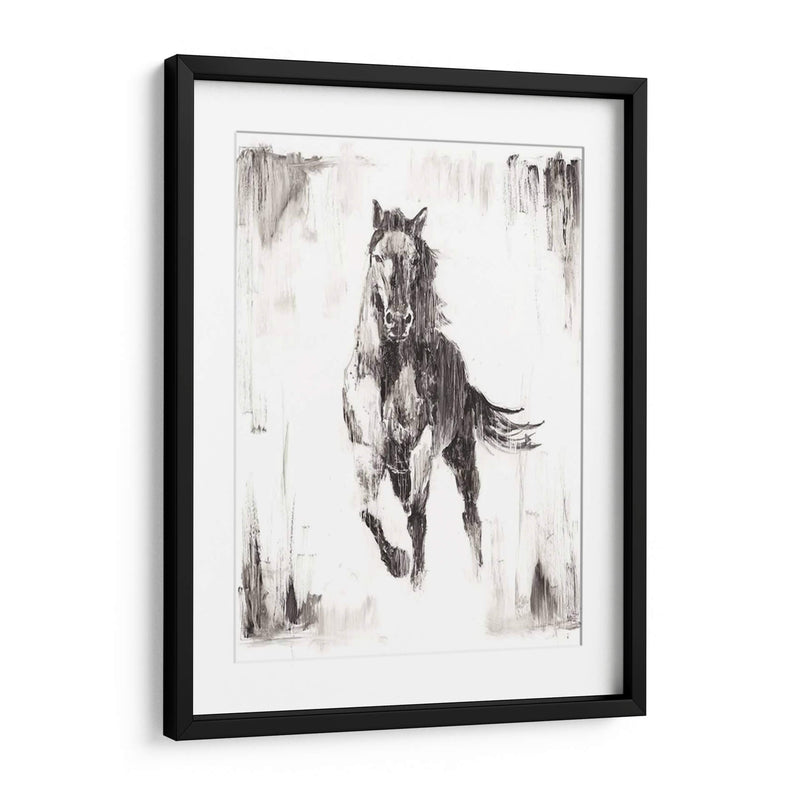 Stallion Negro Rustico Ii - Ethan Harper | Cuadro decorativo de Canvas Lab