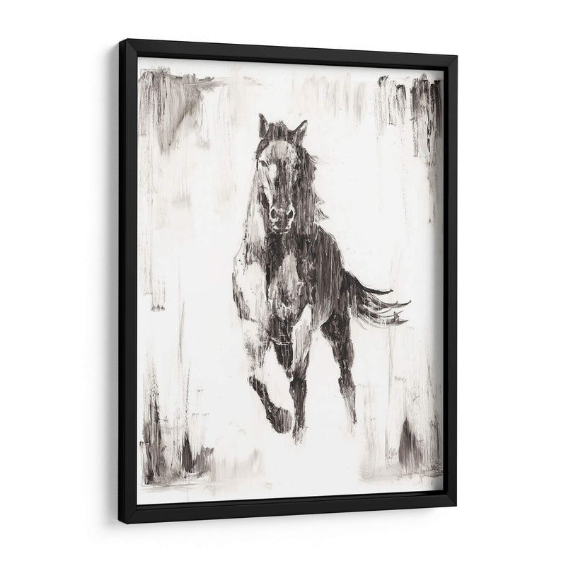 Stallion Negro Rustico Ii - Ethan Harper | Cuadro decorativo de Canvas Lab