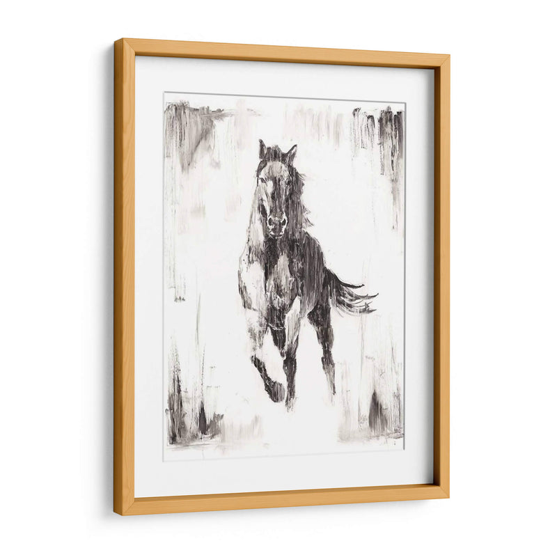 Stallion Negro Rustico Ii - Ethan Harper | Cuadro decorativo de Canvas Lab