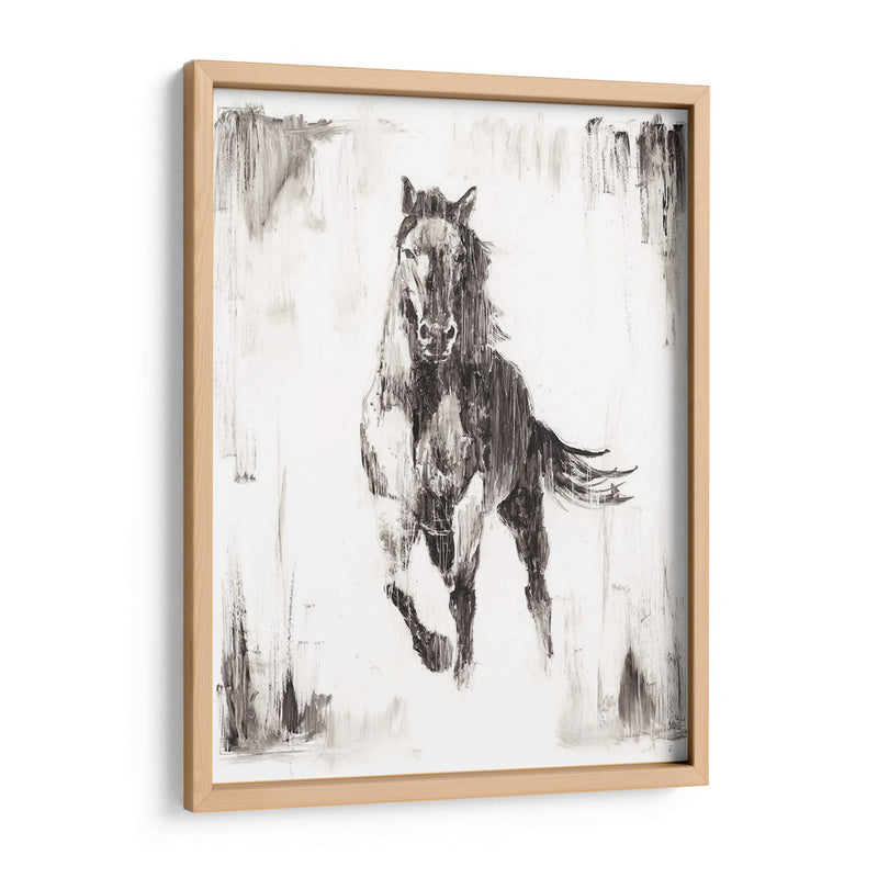 Stallion Negro Rustico Ii - Ethan Harper | Cuadro decorativo de Canvas Lab