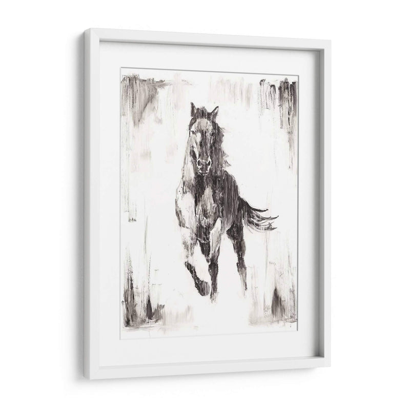 Stallion Negro Rustico Ii - Ethan Harper | Cuadro decorativo de Canvas Lab