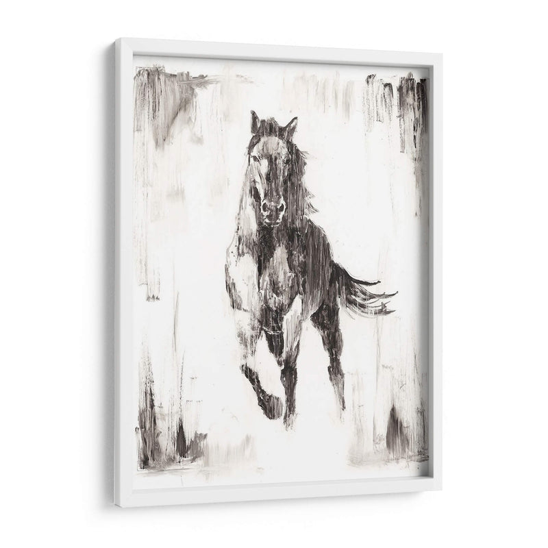 Stallion Negro Rustico Ii - Ethan Harper | Cuadro decorativo de Canvas Lab