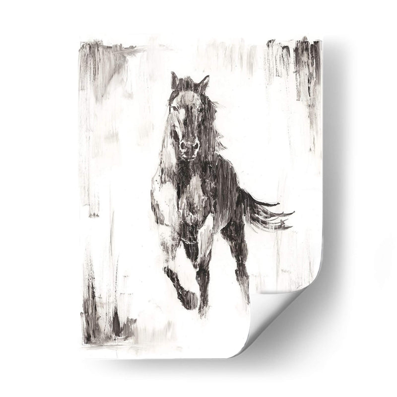 Stallion Negro Rustico Ii - Ethan Harper | Cuadro decorativo de Canvas Lab