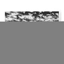 Canyon Lands Ii - Jenna Guthrie | Cuadro decorativo de Canvas Lab