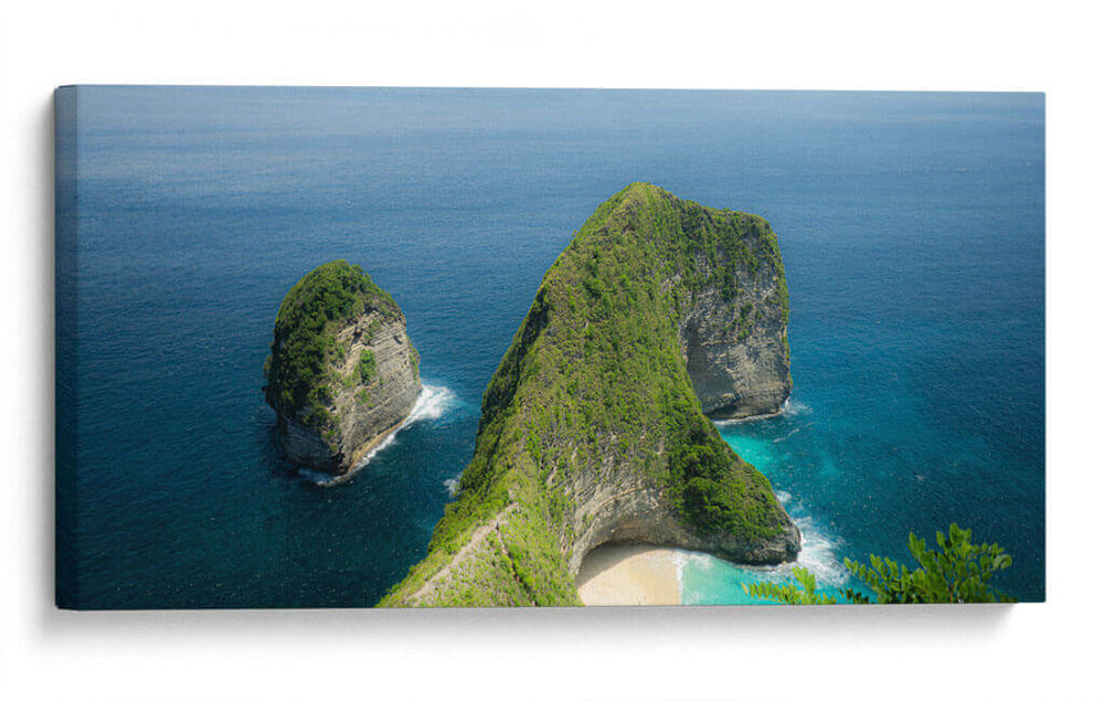 Nusa Penida Whale - Rev | Cuadro decorativo de Canvas Lab