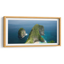 Nusa Penida Whale - Rev | Cuadro decorativo de Canvas Lab
