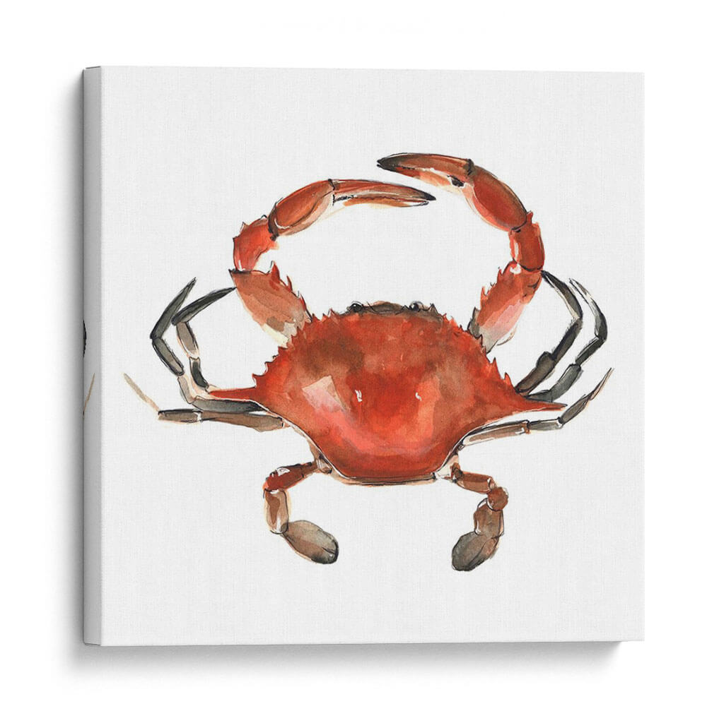 Cangrejo De Acuarela I - Emma Scarvey | Cuadro decorativo de Canvas Lab