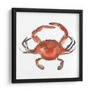 Cangrejo De Acuarela I - Emma Scarvey | Cuadro decorativo de Canvas Lab