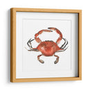 Cangrejo De Acuarela I - Emma Scarvey | Cuadro decorativo de Canvas Lab