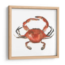 Cangrejo De Acuarela I - Emma Scarvey | Cuadro decorativo de Canvas Lab