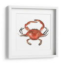 Cangrejo De Acuarela I - Emma Scarvey | Cuadro decorativo de Canvas Lab