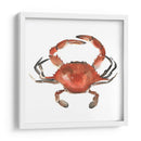 Cangrejo De Acuarela I - Emma Scarvey | Cuadro decorativo de Canvas Lab