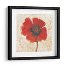 Retrato De Amapola Roja I - Tim OToole | Cuadro decorativo de Canvas Lab