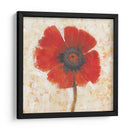 Retrato De Amapola Roja I - Tim OToole | Cuadro decorativo de Canvas Lab