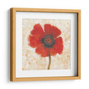 Retrato De Amapola Roja I - Tim OToole | Cuadro decorativo de Canvas Lab