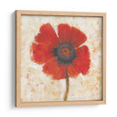 Retrato De Amapola Roja I - Tim OToole | Cuadro decorativo de Canvas Lab