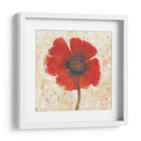 Retrato De Amapola Roja I - Tim OToole | Cuadro decorativo de Canvas Lab