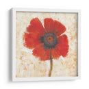 Retrato De Amapola Roja I - Tim OToole | Cuadro decorativo de Canvas Lab