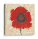 Retrato De Amapola Roja Ii - Tim OToole | Cuadro decorativo de Canvas Lab