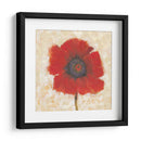 Retrato De Amapola Roja Ii - Tim OToole | Cuadro decorativo de Canvas Lab