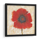 Retrato De Amapola Roja Ii - Tim OToole | Cuadro decorativo de Canvas Lab