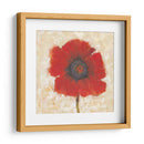 Retrato De Amapola Roja Ii - Tim OToole | Cuadro decorativo de Canvas Lab
