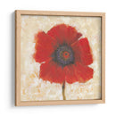 Retrato De Amapola Roja Ii - Tim OToole | Cuadro decorativo de Canvas Lab