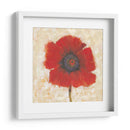 Retrato De Amapola Roja Ii - Tim OToole | Cuadro decorativo de Canvas Lab