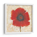 Retrato De Amapola Roja Ii - Tim OToole | Cuadro decorativo de Canvas Lab