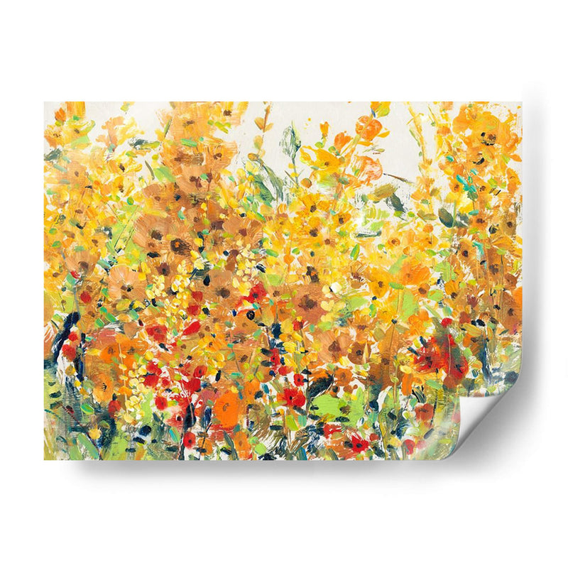 Golden Summer Garden Ii - Tim OToole | Cuadro decorativo de Canvas Lab