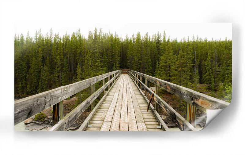 The Wood Bridge - Rev | Cuadro decorativo de Canvas Lab