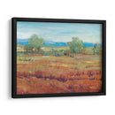 Clay Roja Ii - Tim OToole | Cuadro decorativo de Canvas Lab