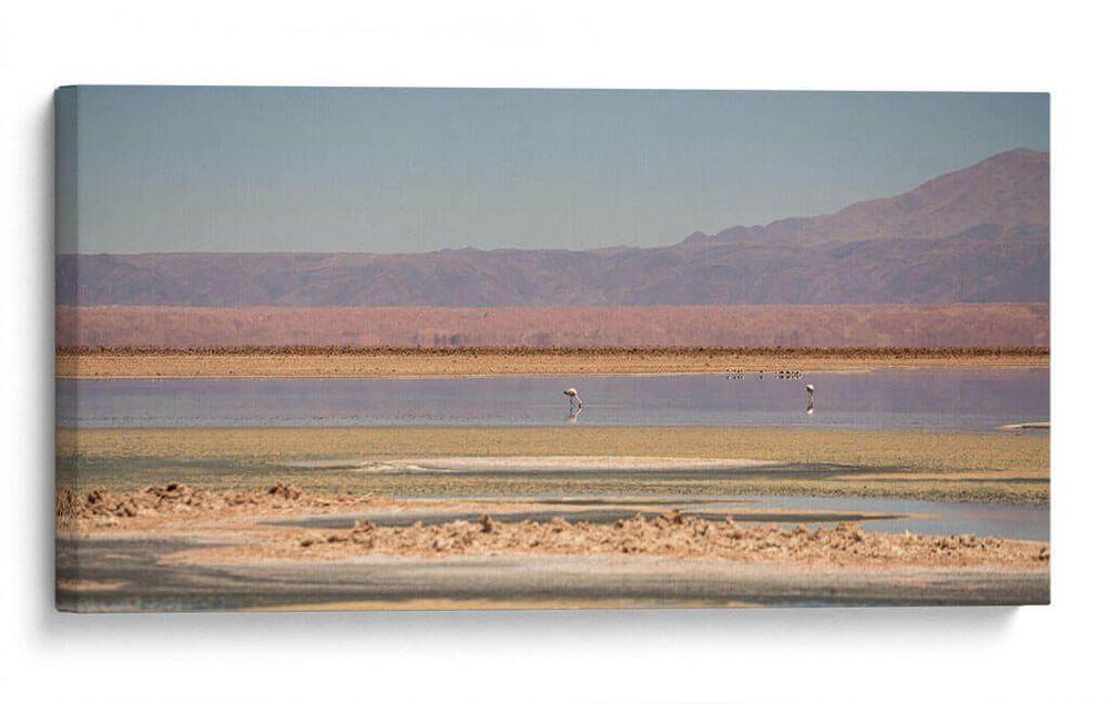 Tranquility - Rev | Cuadro decorativo de Canvas Lab