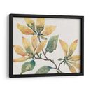 Rama Floreciente Ii - Tim OToole | Cuadro decorativo de Canvas Lab