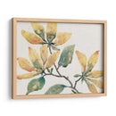 Rama Floreciente Ii - Tim OToole | Cuadro decorativo de Canvas Lab