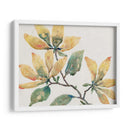 Rama Floreciente Ii - Tim OToole | Cuadro decorativo de Canvas Lab